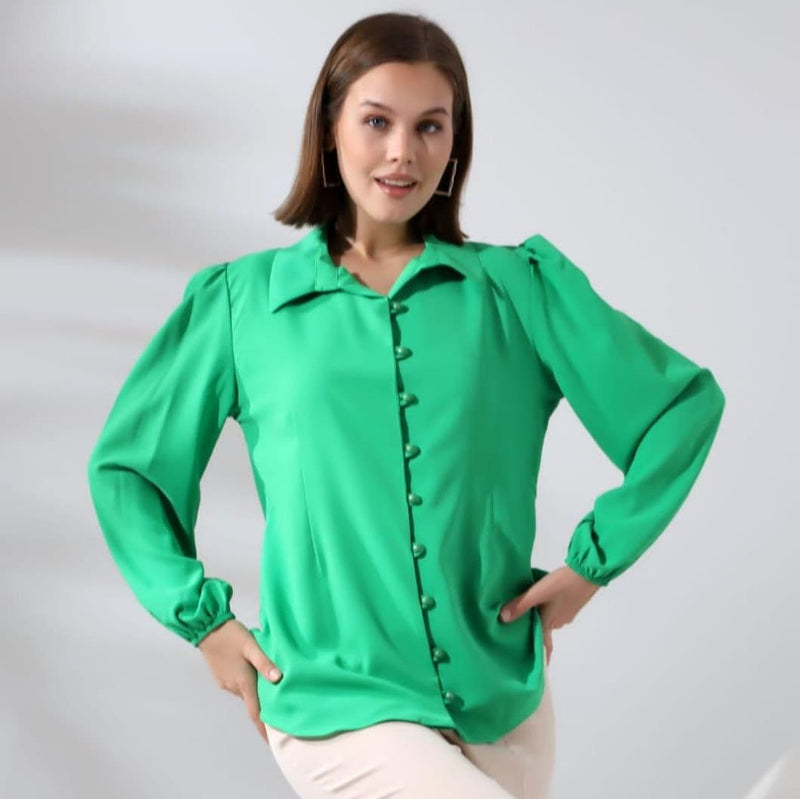 Elegant Balloon Sleeve Blouse