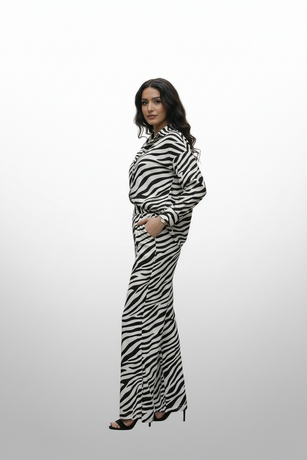 Zebra Print Relaxed Shirt and Pant Set