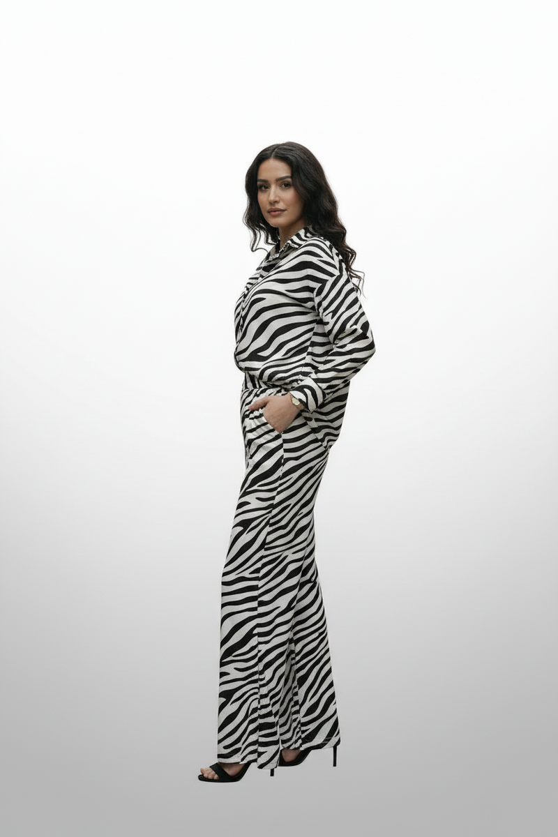 Zebra Print Relaxed Shirt and Pant Set
